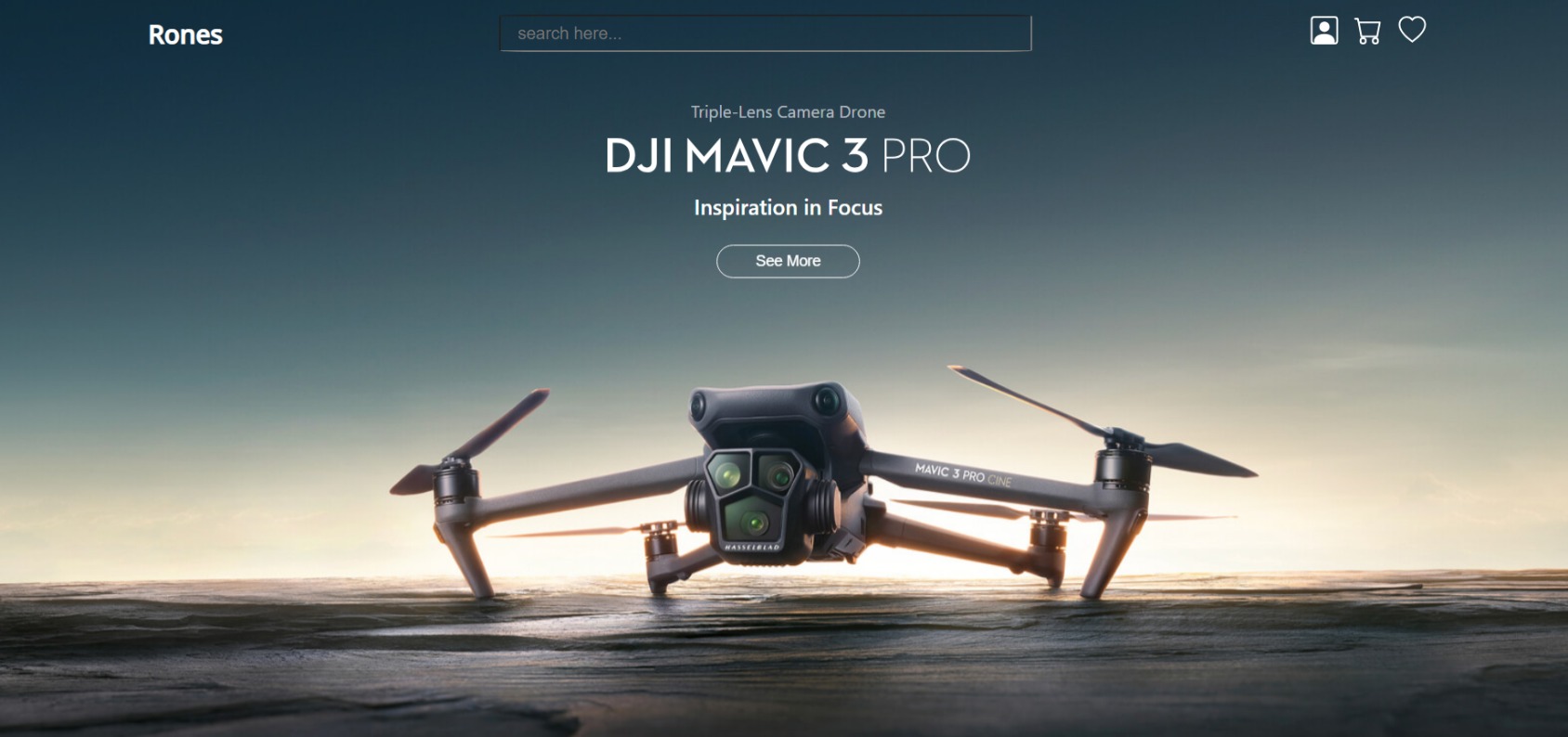 Rones: E-commerce for drones