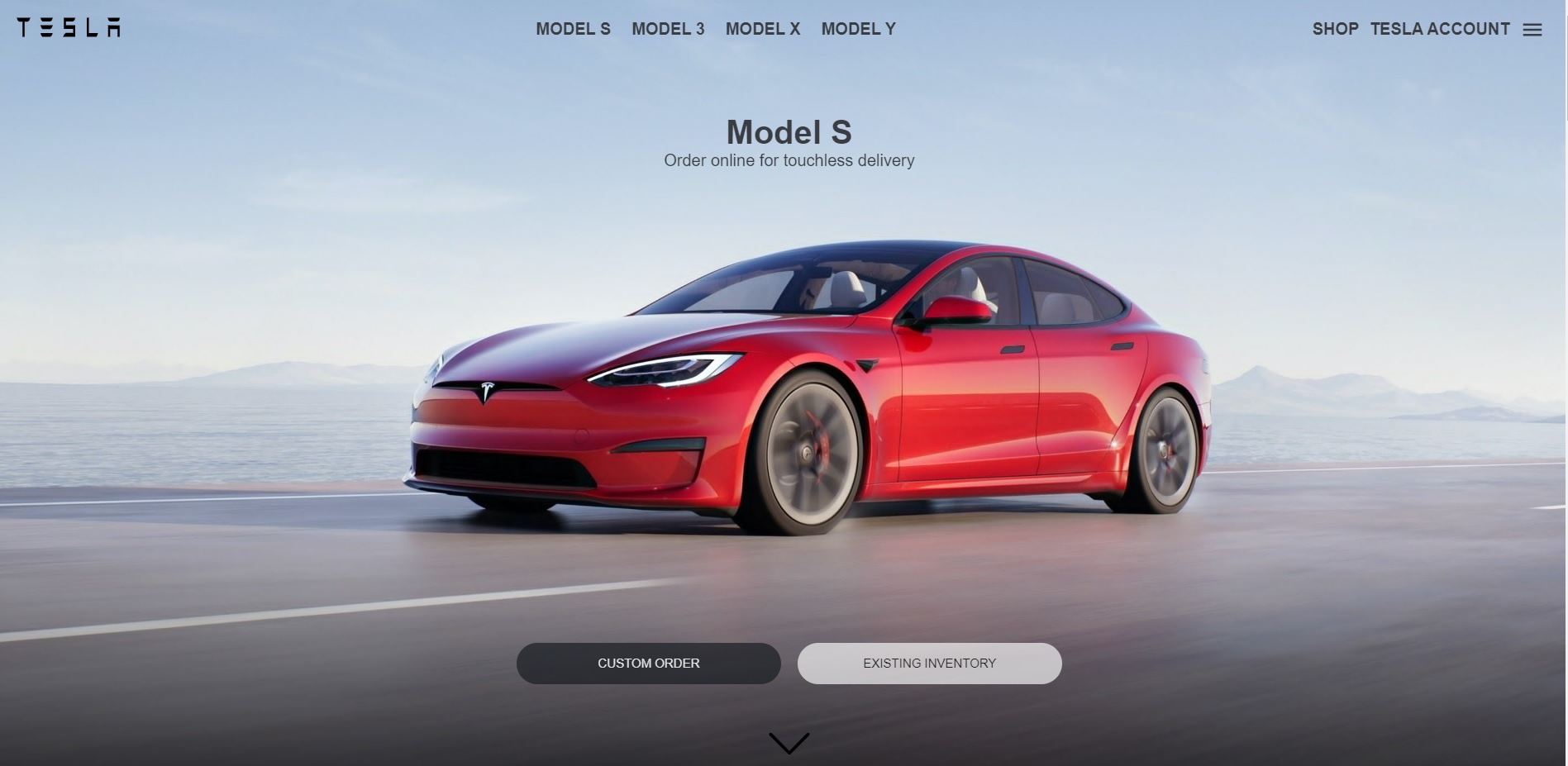 Tesla Clone